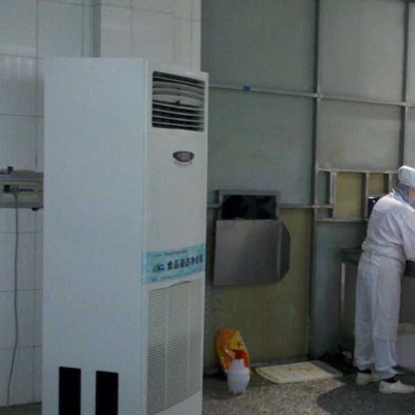 鄂尔多斯食品正负离子空气杀菌器